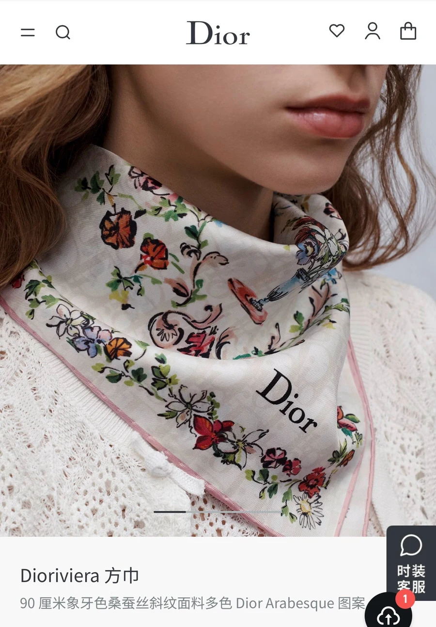 Dior scarf 0065