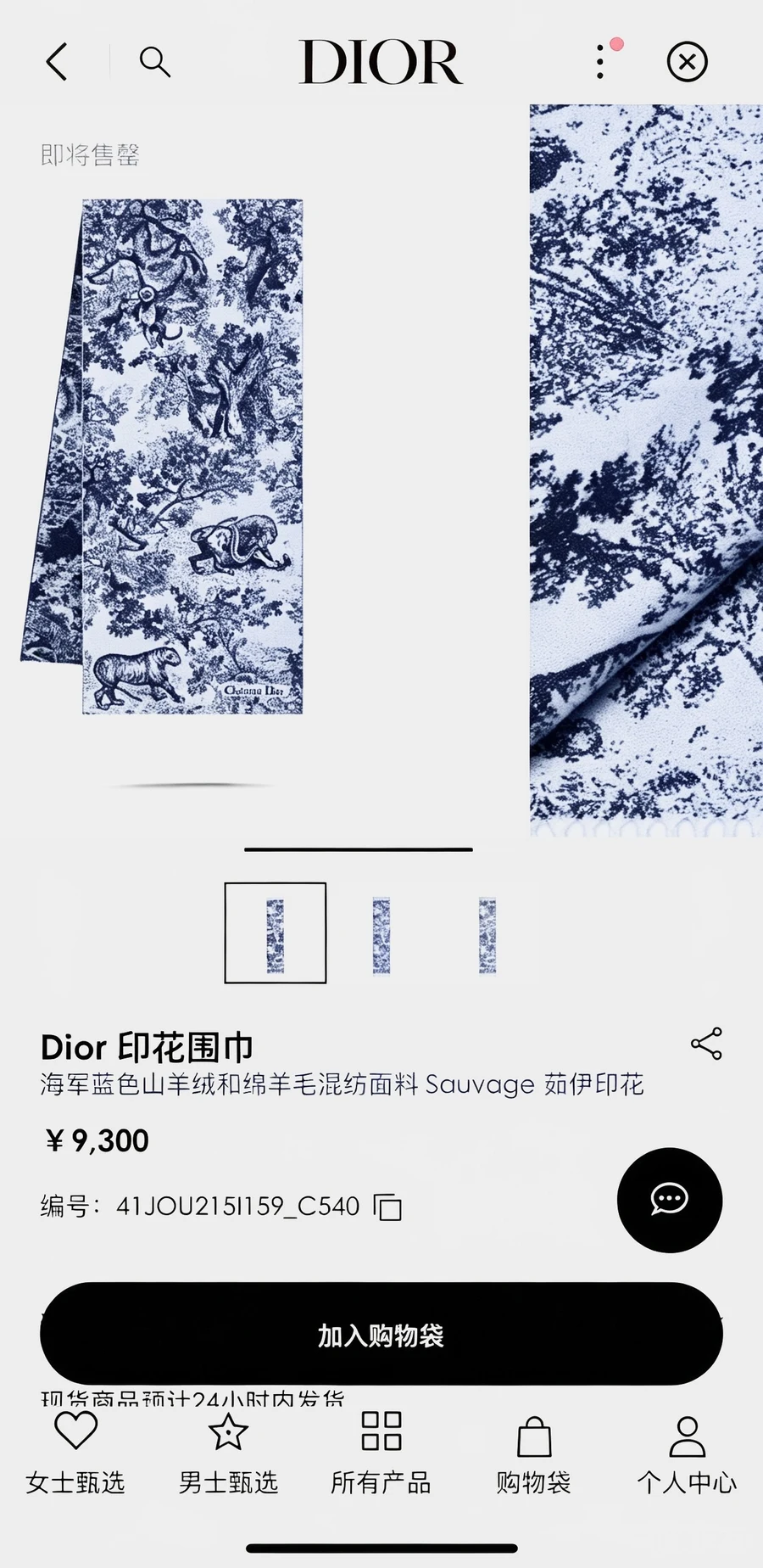 Dior scarf 0045