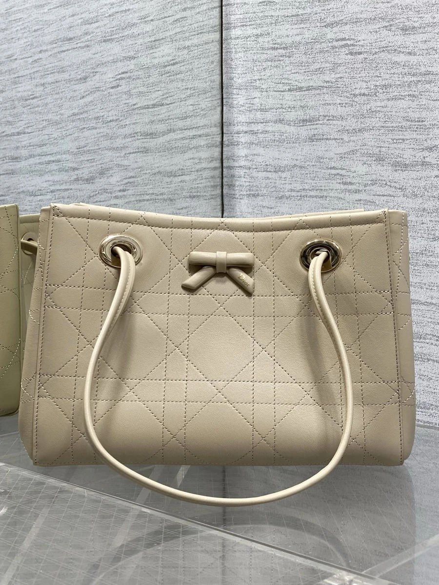 Dior DIOR 036